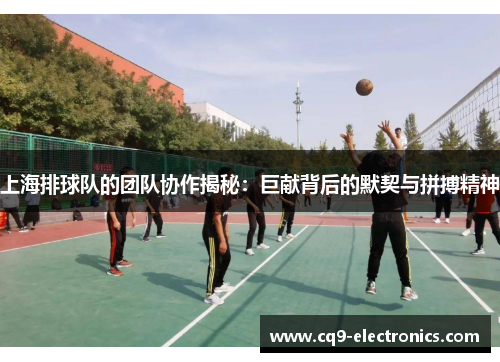 上海排球队的团队协作揭秘：巨献背后的默契与拼搏精神