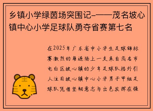 乡镇小学绿茵场突围记-——茂名坡心镇中心小学足球队勇夺省赛第七名